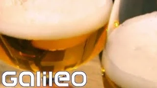 Wer braut das beste Bier der Welt? | Galileo