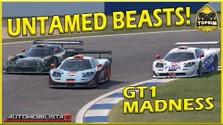 AMS2: GT1 The Untamed Predecessor - McLaren F1 GTR @ Silverstone 1991 Historic