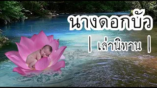 เล่านิทาน EP.08 | นางดอกบัว