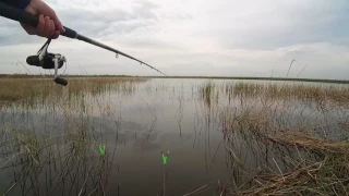 Рыбалка на карася в с. Надеждино Омской обл.