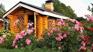 🌺Великолепные идеи для создания красивого сада / Great ideas for a beautiful garden / A - Video