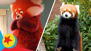 Turning Red Real Life Side-By-Side | Pixar