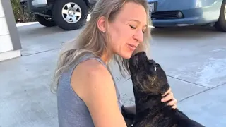 Unreal Reunion! Dog and Mom haven't seen each other for Days!