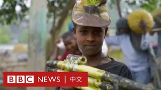 埃塞俄比亞血腥內戰的隱秘一面 － BBC News 中文