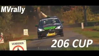 206 RALLY CUP | Twente Rally 2018