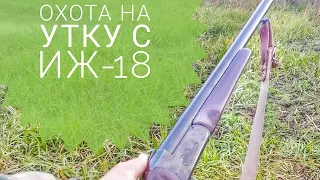 ОХОТА НА УТКУ С ИЖ-18#Shorts