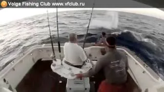 Рыба выгнала рыбака из лодки