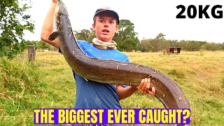 CATCHING A 130cm FRESH WATER EEL! (20kg fish!)