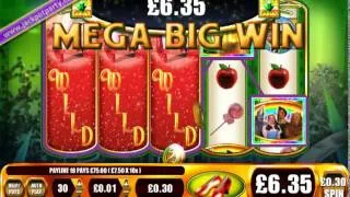 £558.00 MEGA BIG WIN (1860 X STAKE) WIZARD OF OZ RUBY SLIPPERS ™ BIG WIN SLOTS AT JACKPOT