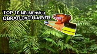 Top 5 nejmenších obratlovců na světe