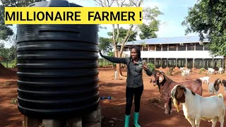 All You Need To Start A Simple GOAT Farm Business!| DETAILED Plan, Farm Routine