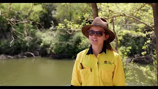 Nepean River rehabilitation