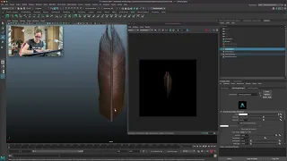 Texturing Feather in Maya 2022, 2020, Arnold with HairPhysicalShader and AiStandardHair