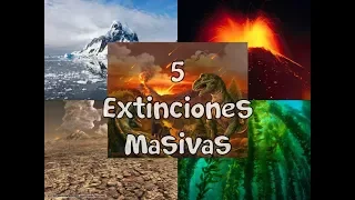 Las 5 Extinciones Masivas en la Tierra