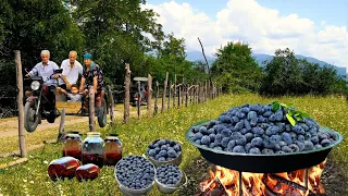 Harvesting Wild Blackthorn in the Forest | 1 Hour of the Best Fruit videos