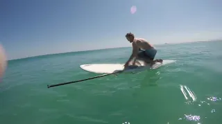 Giant Squid Attacks Surf Board! Shot on i phone meme