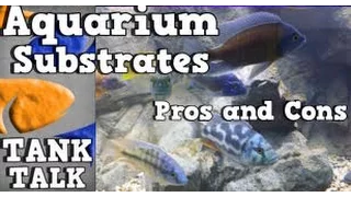 Whats The Best Aquarium Substrate?  Tank Talk Presented by KGTropicals!!