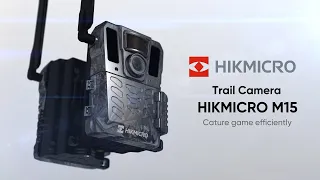 M15 Trail Camera Special Offer