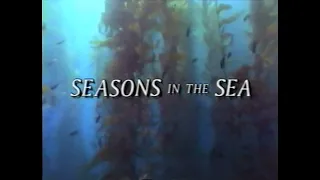 National Geographic: Seasons in the Sea (1990)