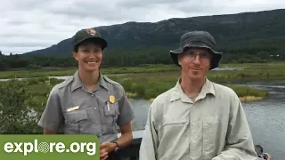 Katmai Bear Monitoring Program - Live Chat