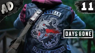 ТУПЫЕ ФРИКИ! Прохождение Days Gone Жизнь После на Русском #11