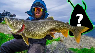 TOP SECRET UNCONVENTIONAL SHORE FISHING TECHNIQUE TO CATCH HUGE LAKE TROUT