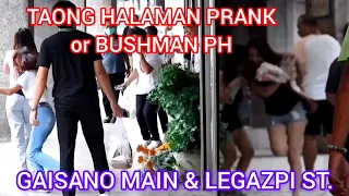 TAONG HALAMAN PRANK or BUSHMAN PH: GAISANO MAIN & LEGAZPI ST. SHE RUN AND SHOUT! 😀♥️✌️