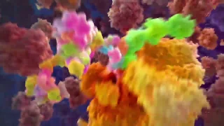 Protein Packing (With Music) (BioVisions) (Official Version)