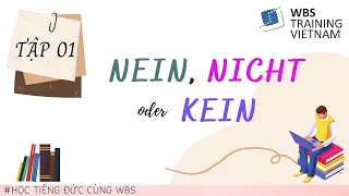 VIDEO 1: HỌC TIẾNG ĐỨC CÙNG WBS - NEIN. NICHT ODER KEIN  - A1/A2