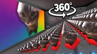 360° CHIPI CHIPI CHAPA CHAPA CAT - Cinema Hall | 4K VR 360 Video