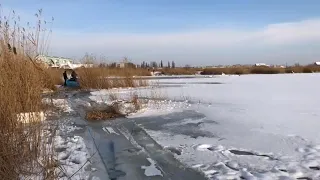 Live  Бердянск спасение лебедей