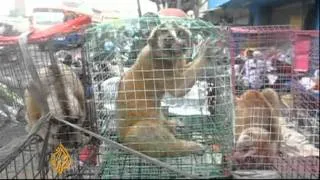 Animal trafficking in Indonesia