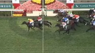 2010 Hong Kong Cup(G1) Snow Fairy