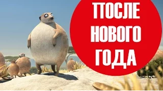 Толстые животные после Нового Года и Рождества