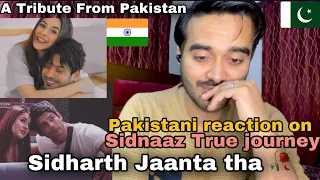 Pakistani reacts on Sidnaaz journey | Sidharth shukla - shehnaaz gill | I felt it✨