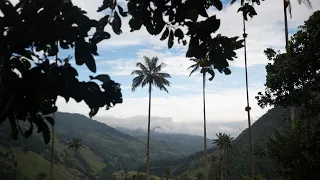 Colombia | Cinematic Video