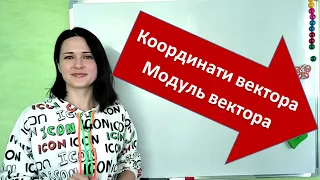 Як знайти координати вектора? Модуль вектора