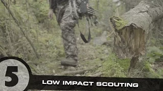 Scouting Whitetail Deer Part 5: Low Impact Scouting