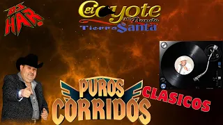 EL COYOTE Y SU BANDA TIERRA SANTA CORRIDOS CLASICOS DE GRUSO CALIBRE CORRIDON DE LA VIEJA ESCUELA!