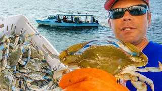 What's Goin' on with Blue Crab Regulations?