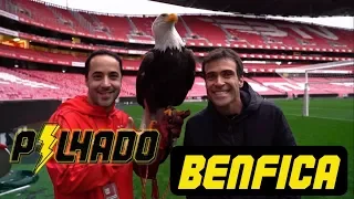 VLOG: ESTÁDIO DA LUZ - BENFICA | PILHADO