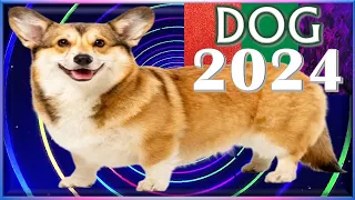 ✪ Dog Horoscope 2024 |✩| Born 2018, 2006, 1994, 1982, 1970, 1958, 1946, 1934