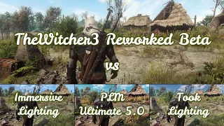 The Witcher 3 | Reworked Beta vs Phoenix Lighting mod vs Immersive Lighting vs Took | Comparison