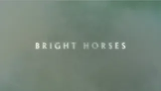 Nick Cave and The Bad Seeds - Bright Horses (Official Lyric Video)