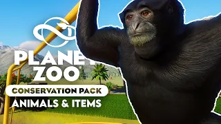 CONSERVATION PACK SHOWCASE! All The Animals & New Building Items - Planet Zoo Conservation Pack