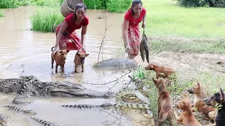 Top 4 Survival videos in jungle, Cooking crocodile, Big fish soup spicy so delicious food +4 video