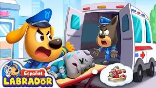 🔍Compilación de Sheriff Labrador - NO NO Comas Comida Sucia | Videos de Niños | BabyBus en Español