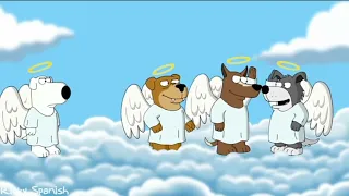 Brian Goes To Heaven | Family Guy Full Episodes HD 1080p