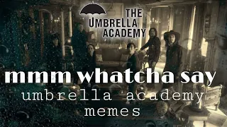 mmm whatcha say meme ~ umbrella academy☔