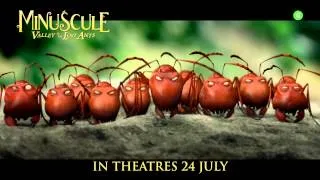 Minuscule: Valley of the Lost Ants 30s TV Spot